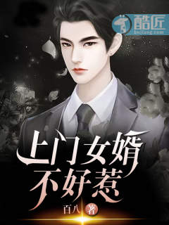 上门女婿不好惹封面