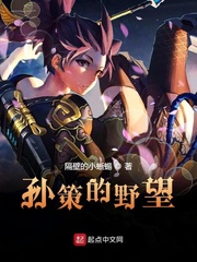 孙策的野望封面