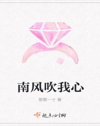 南风吹我心封面