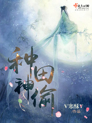种田神偷封面