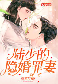 陆少的隐婚罪妻封面