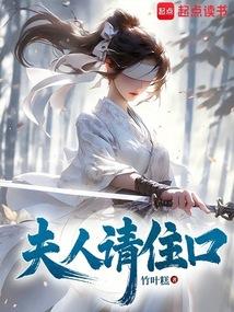 夫人请住手封面