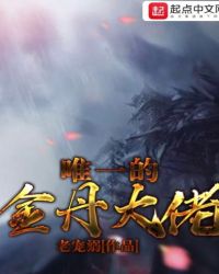 唯一的金丹大佬封面