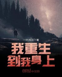我重生到我身上封面