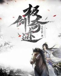 极剑奇迹封面