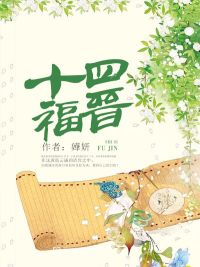 十四福晋封面