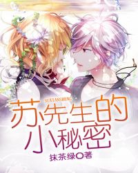 苏先生的小秘密封面
