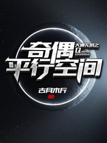 大道无垠之奇偶平行空间封面