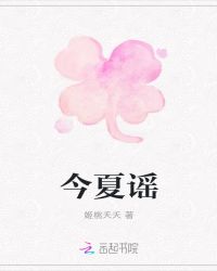 今夏谣封面