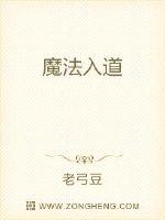 魔法入道封面