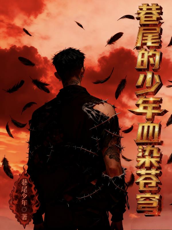 巷尾的少年血染苍穹封面