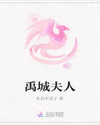 禹城夫人的戏文封面