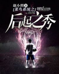菜鸟系统之后起之秀封面