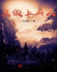 真假上山人封面