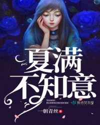 夏满不知意封面