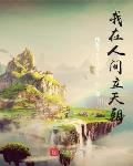 我在人间立天朝封面