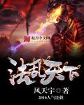 法乱天下封面