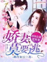 爱妻莫要逃：深情总裁宠宠宠封面