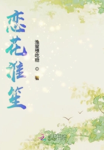 恋花淮笙封面