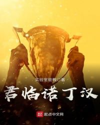 君临诺丁汉封面