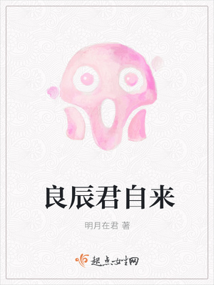 良辰君自来封面