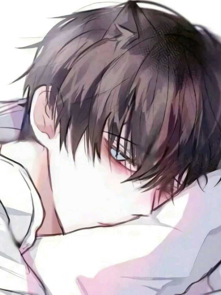 傅少说他下次不敢了封面