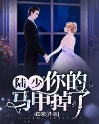 陆少，你的马甲掉了封面