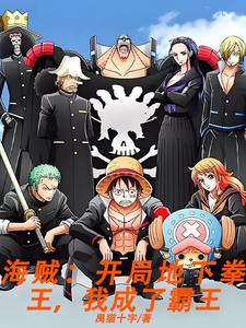 海贼王之霸王乱世封面