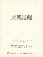 灵魂觉醒封面
