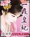 一夜皇妃封面
