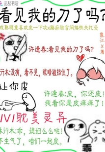 看见我的刀了吗封面