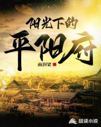 阳光下的平阳府封面