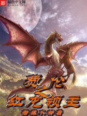 红龙领主封面