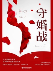 守婚战封面