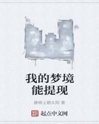 我的梦境能提现封面