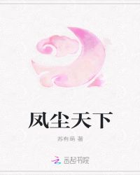 凤尘天下封面