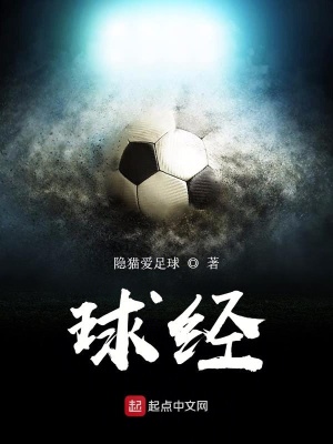 球经封面