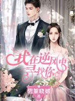 我在逆风中寻找你封面