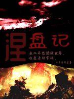 涅盘记封面