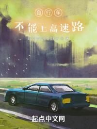 自行车不能上高速封面