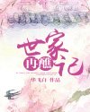 世家再醮记封面