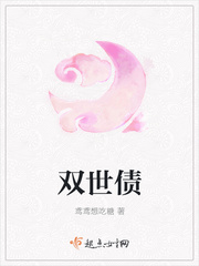 双世债封面