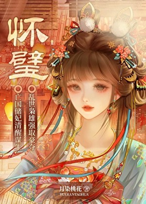 怀璧封面