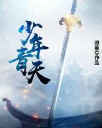 少年青天封面