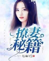 撩妻秘籍封面