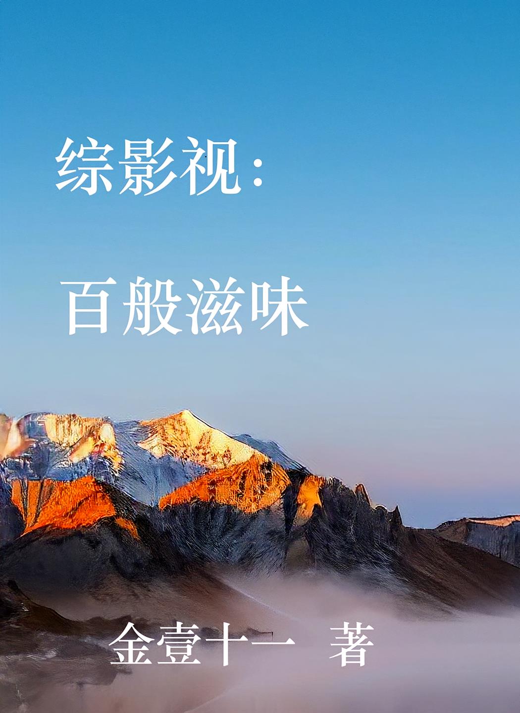 综影视：百般滋味封面