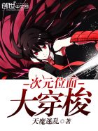 次元位面大穿梭封面