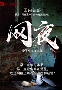 网夜封面