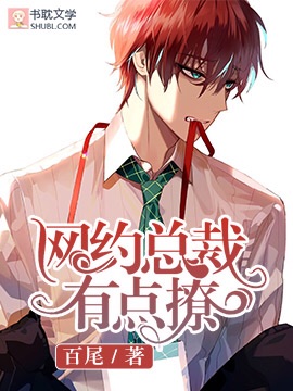 网约总裁有点撩封面
