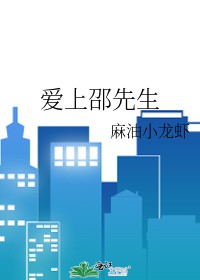 爱上邵先生封面